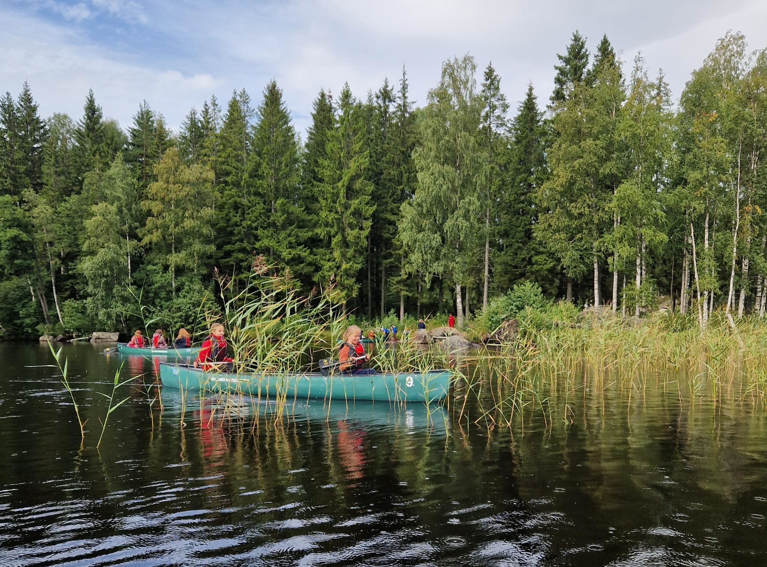 Barn padler kano gjennom sivkanten av skogsvann